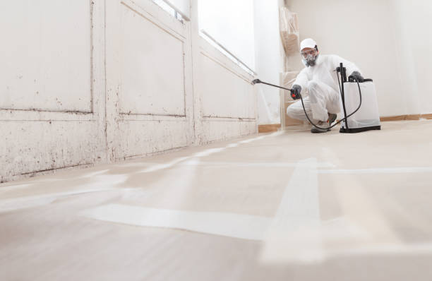 24/7 Emergency Mold Removal experts in Farmersville, TX